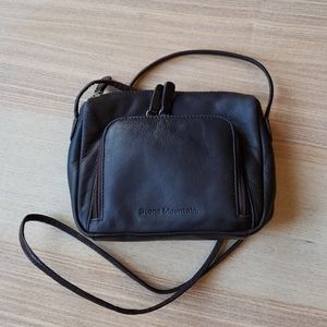 Stone Mountain leather crossbody mini purse